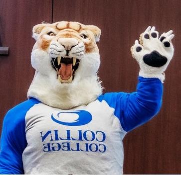 collin cougar at orientation